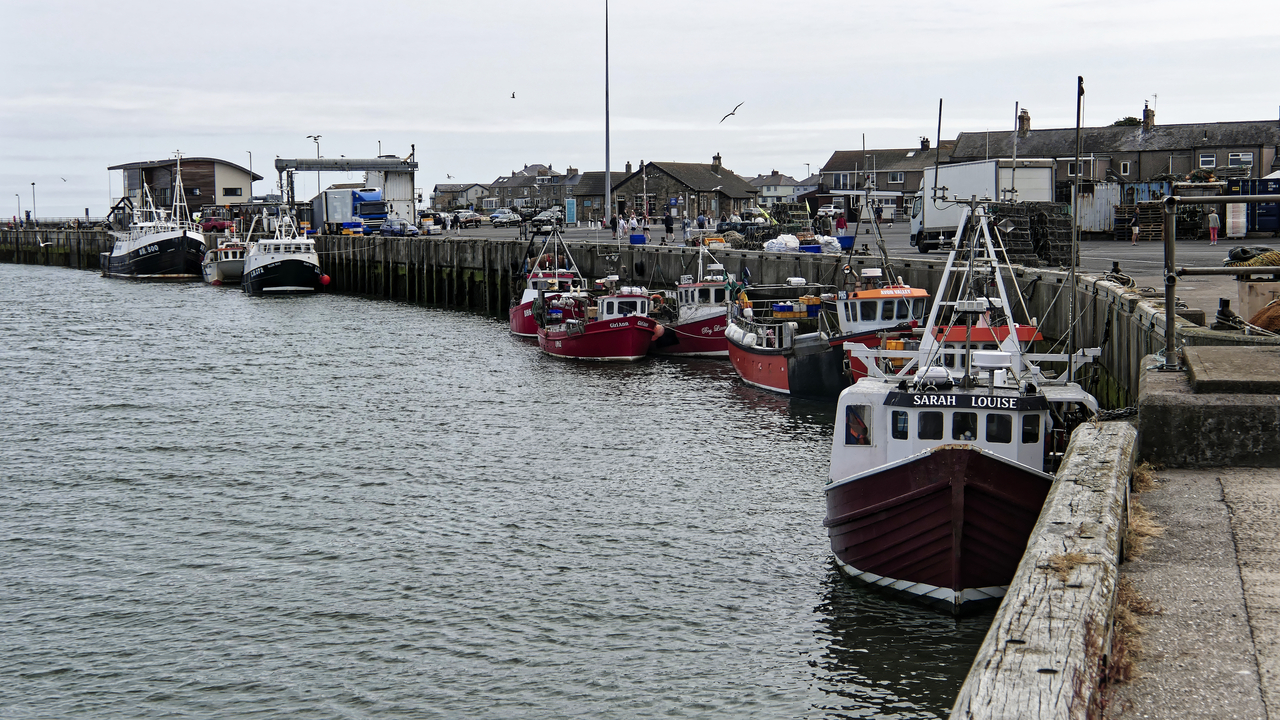 20260720-112317•••Amble•Northumbria•UK (ENG)